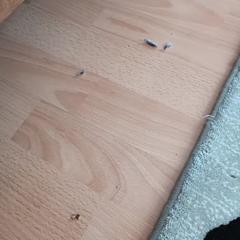 Xiaomi Robot Süpürge Değişim Talebi Ve Servis Sorunları