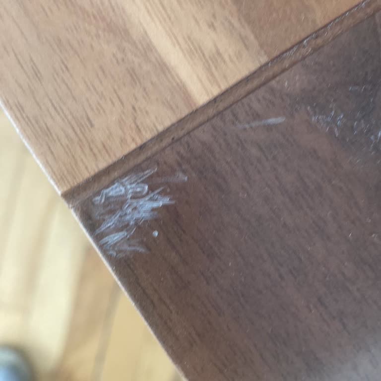 Mobilya Alışverişinde Sorunlar Ve İlgisizlik