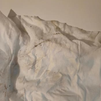 Wingoof Profesyonel Temizlik Şikayeti