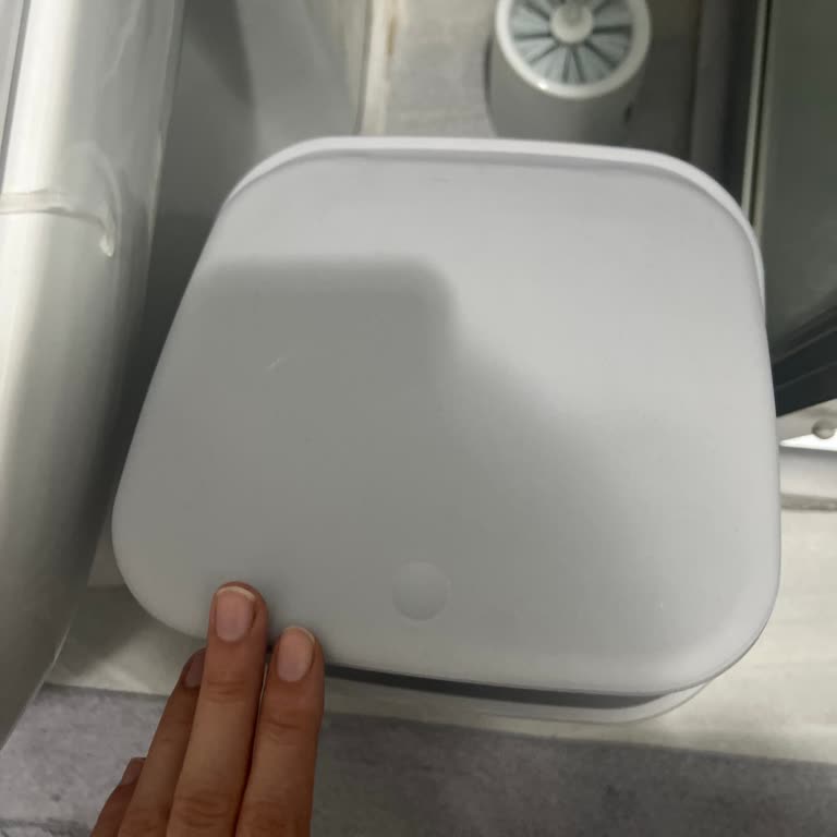Banyo Çöp Kovası Hayal Kırıklığı