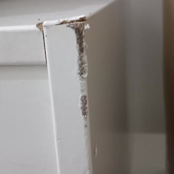 Taşıma Şirketinin Eşya Hasarı ve İlgisizliği