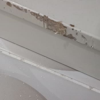 Taşıma Şirketinin Eşya Hasarı ve İlgisizliği