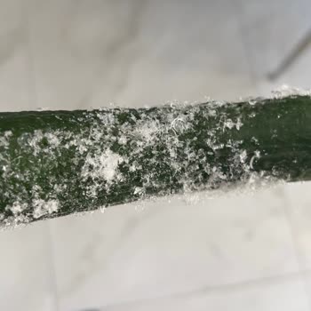 Bosch Buzdolabı Ve Yetersiz Servis Hizmeti