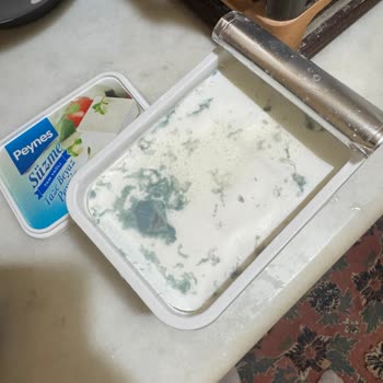 A101 Kapıda Hizmetinde Bozulmuş Ürün Ve İade Sorunu
