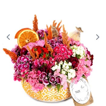 Çiçek Siparişimde Beklenmedik Saksı Sürprizi