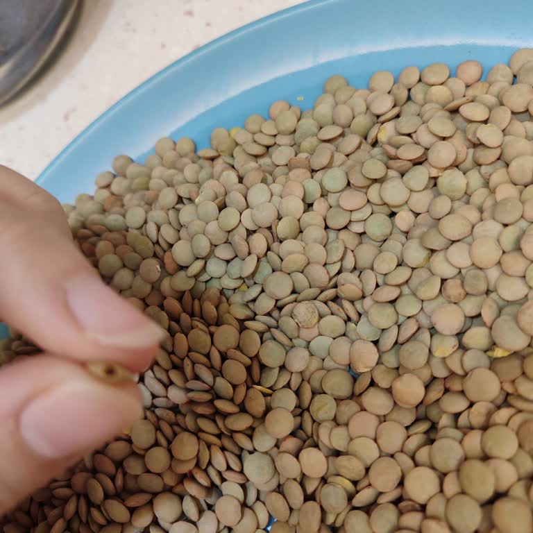 BİM Yeşil Mercimekte Böcek Sorunu