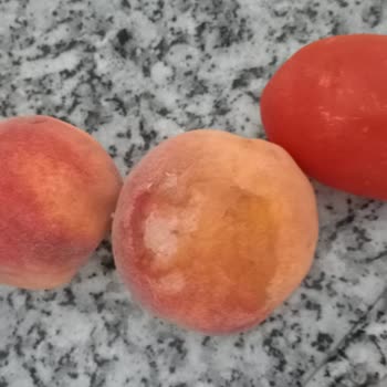 Arçelik-Beko İle Bitmeyen Buzdolabı Kabusu