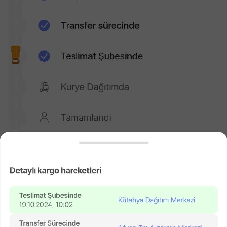 Kargo Teslimatında Yaşanan Gecikme