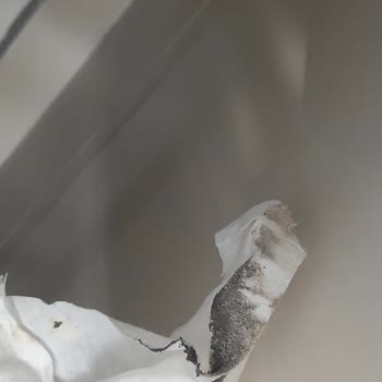 Segeclean Temizlik Hizmetleri Memnun Kalmama