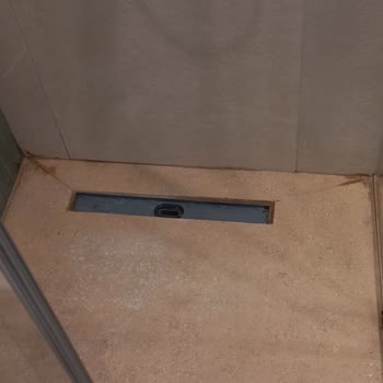 Segeclean Temizlik Hizmetleri Memnun Kalmama