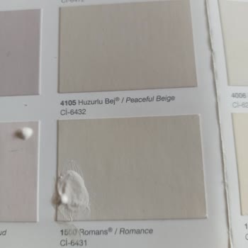 Renk Kartelasındaki Yanıltıcı Bej Tonu