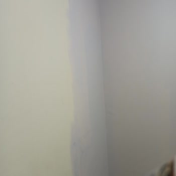 Renk Kartelasındaki Yanıltıcı Bej Tonu