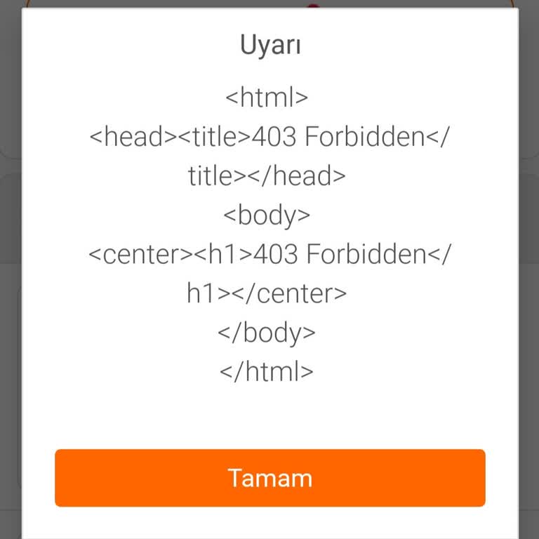 FLO Uygulamasında İade Sorunu: 403 Forbidden Hatası