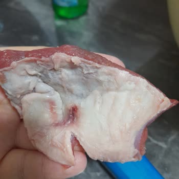Migros Uzman Kasap'tan Alınan Kuşbaşı Etin Hayal Kırıklığı