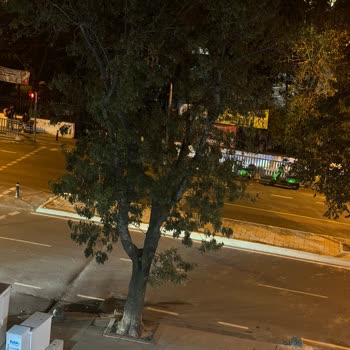 Otoparkta Taş Dubaların Yol Açtığı Maddi Hasar
