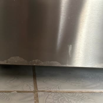 Beko Buzdolabı Kapaklarında Boya Sorunu