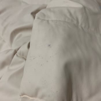 Koton Montumda Küf Lekeleri Sorunu