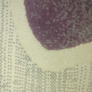 Kumsal Halı Yıkama (Erzurum) Kalitesiz Hizmet