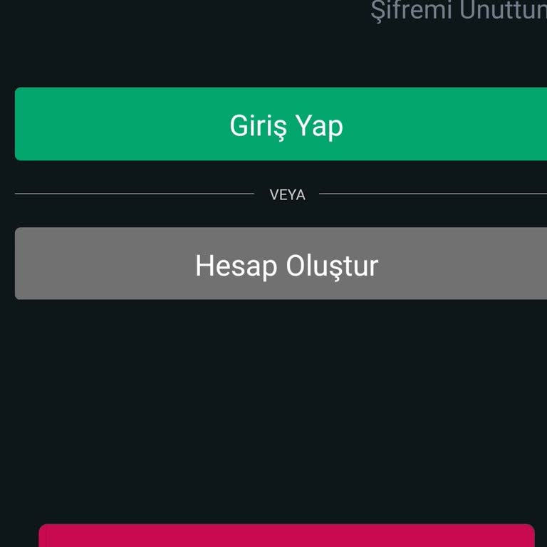 Hesap Erişim Sorunu Ve Yetersiz Destek