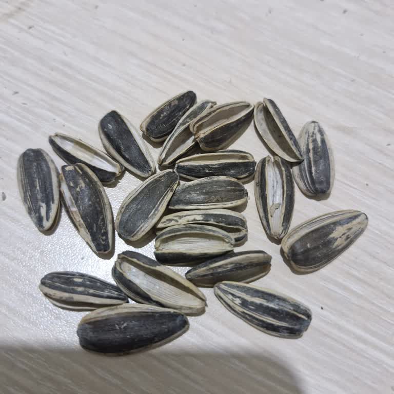 Tadım Çekirdeklerinin Aşırı Kavrulması Sorunu