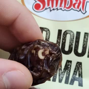 Simbat Kuruyemiş Hurma İçindeki Kurt Şoku