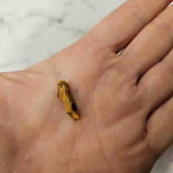 Hacıbozanoğulları Tatlıda Tahta Parçası Şoku