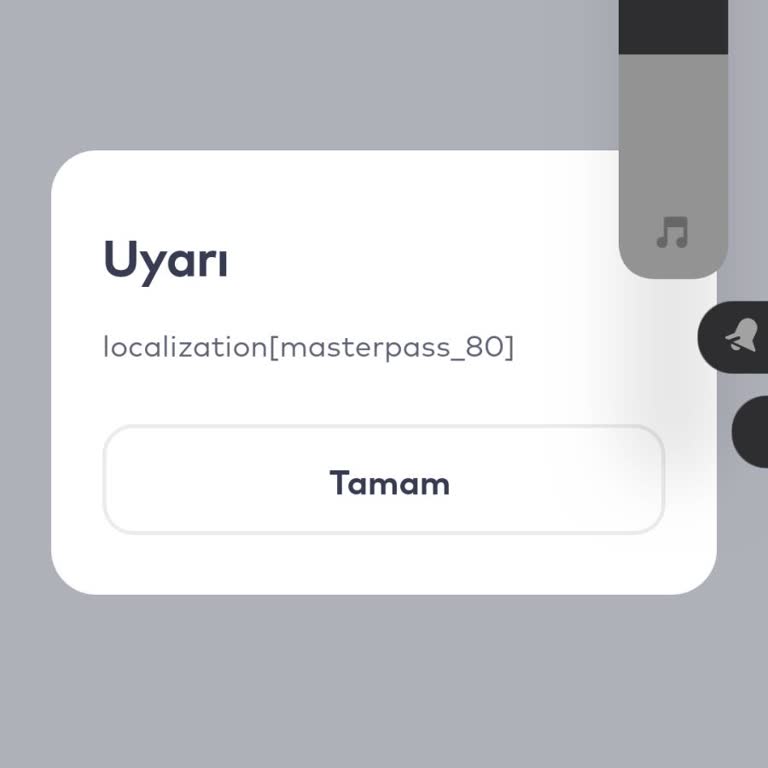 Masterpass İle Online İşlem Sorunu