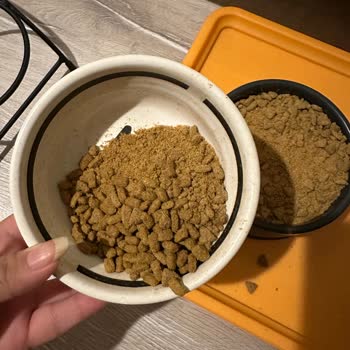 Ezilmiş Kedi Maması Ve Yetersiz Hizmet