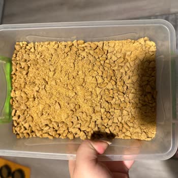 Ezilmiş Kedi Maması Ve Yetersiz Hizmet