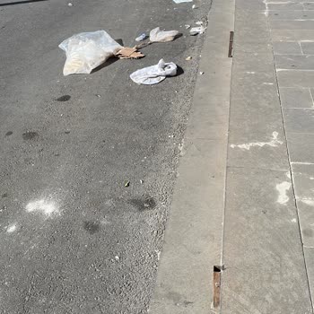 Çöplerle Dolu Cadde: Uyarılar Dikkate Alınmıyor