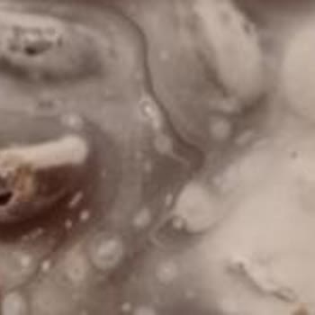 Bayat Bademli Çikolata Hayal Kırıklığı