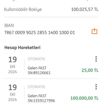 ING Bank Güvenli Ödeme Sorunu Ve Hesap Blokajı