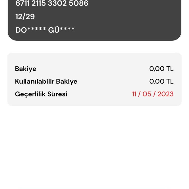 Vize Süreci Sorunu: Maçlara Giriş Yapamıyorum