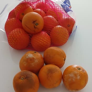 Migros'tan Gelen Çürük Meyveler