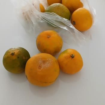 Migros'tan Gelen Çürük Meyveler