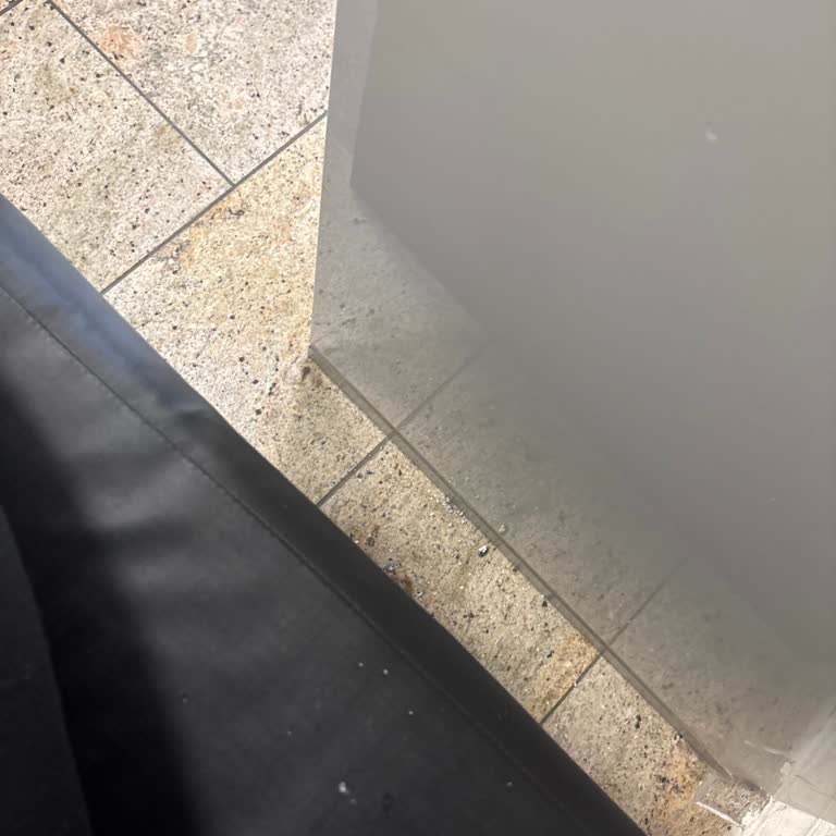 Sunexpress Uçuşunda Eşya Kaybı Ve Güven Sorunu