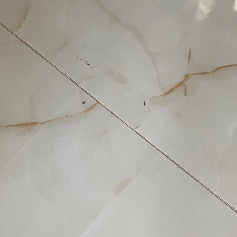 Süpürgem Toz Bırakıyor, Çözüm Bekliyorum