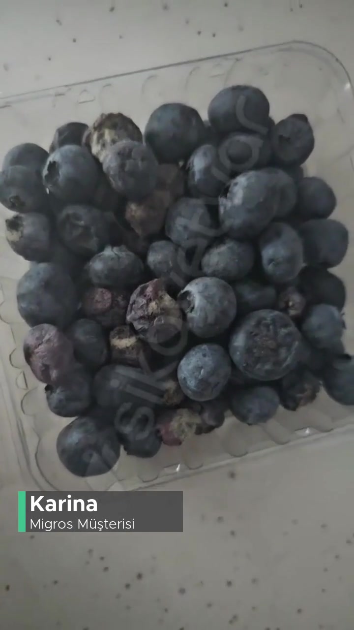 Migros Sanal Market Gönderdiği Ürün Buyurun Yanmış Ekmek Yabani Mersini! videonun kapak resmi