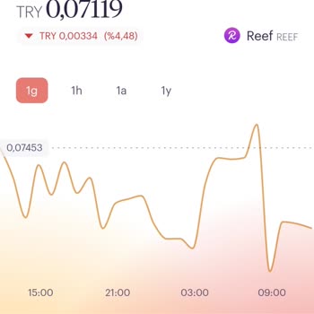 Rain Kripto Borsası'nda Fiyat Tutarsızlığı Şikayeti