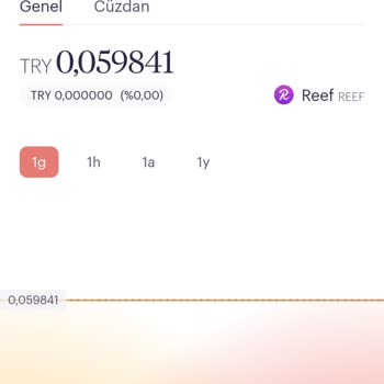 Rain Kripto Borsası'nda Fiyat Tutarsızlığı Şikayeti