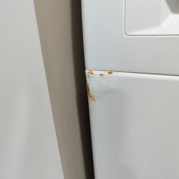 Bosch Çamaşır Makinesi Paslanma Sorunu Ve Garanti Hayal Kırıklığı