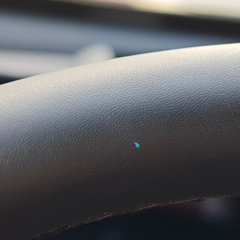 Direksiyon Kaplaması Sorunu Ve Yetersiz Müşteri Hizmeti