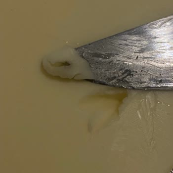 Sek Tereyağında Hijyen Sorunu