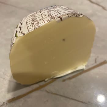 Sek Tereyağında Hijyen Sorunu