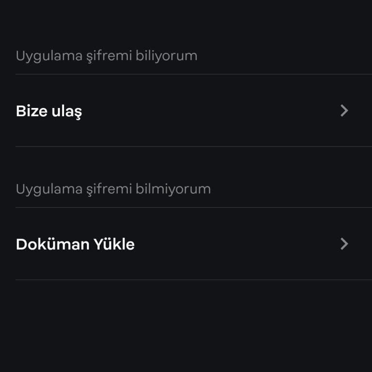 Papara Hesabına Erişim Sorunu Ve Şifre Yenileme Engeli