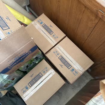 Balık Kokulu Su Sorunu