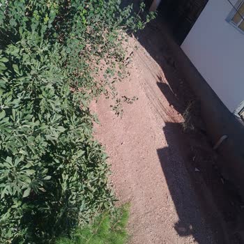 Çermik Yolunda Bitmeyen Çile