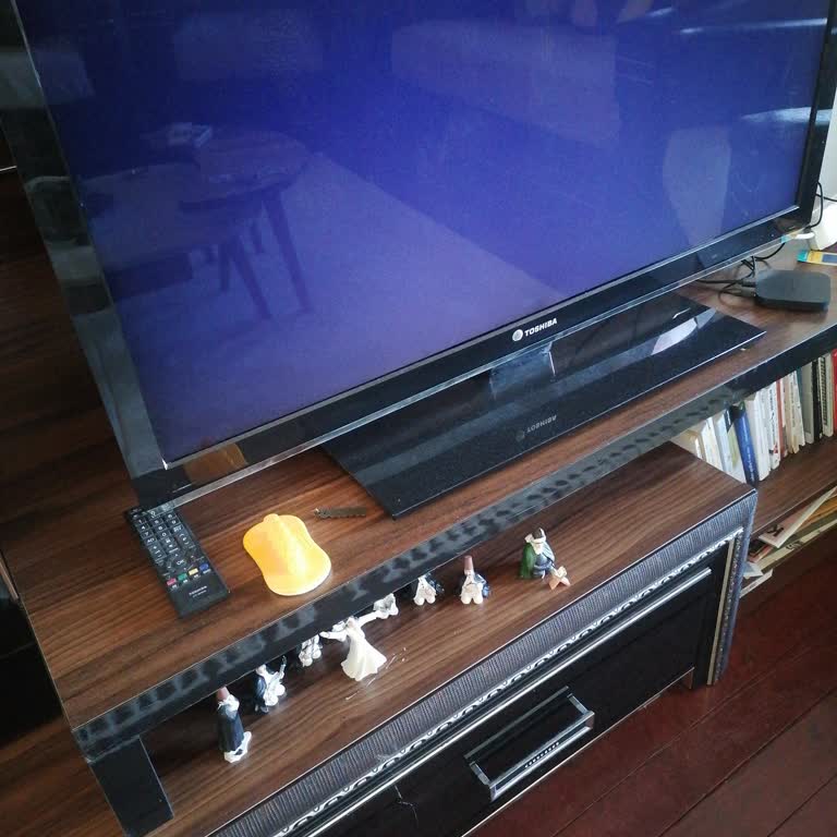 Disney Uygulamasına Erişim Sorunu