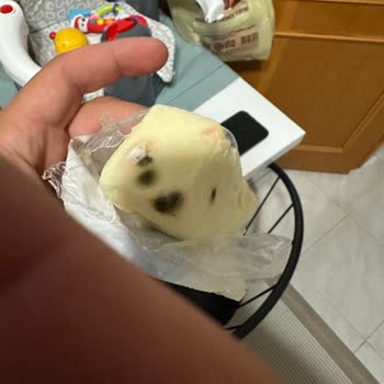 Tarihi Geçmemiş Kaşarın Küflenmesi Şaşkınlığı