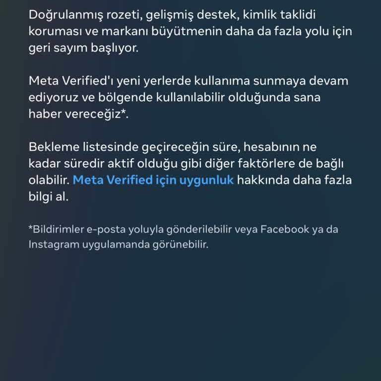 Instagram Mavi Tik Bekleyişi: Çözüm Yok Mu?